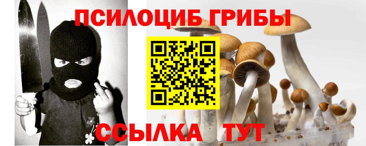 Лесосибирск  Псилоцибиновые грибы прущие грибы  Галлюциногенные грибы Psilocybe  Вход с VPN 